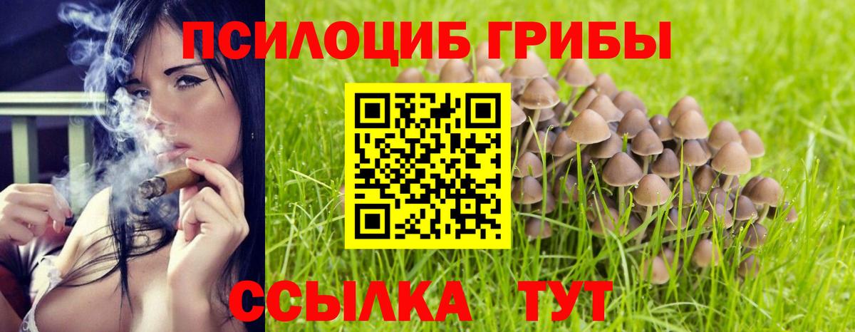 Полысаево  Галлюциногенные грибы прущие грибы  Вход с VPN 